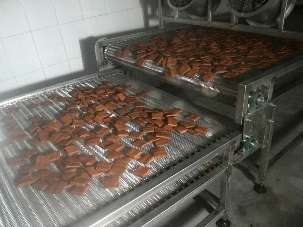 網鏈輸送機